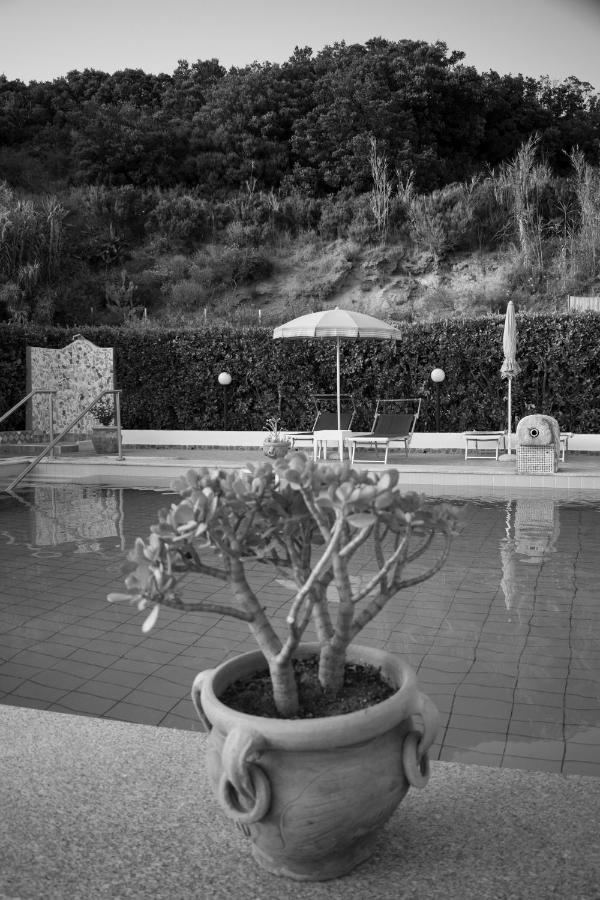 Hotel Villa Rita Forio di Ischia Exteriér fotografie